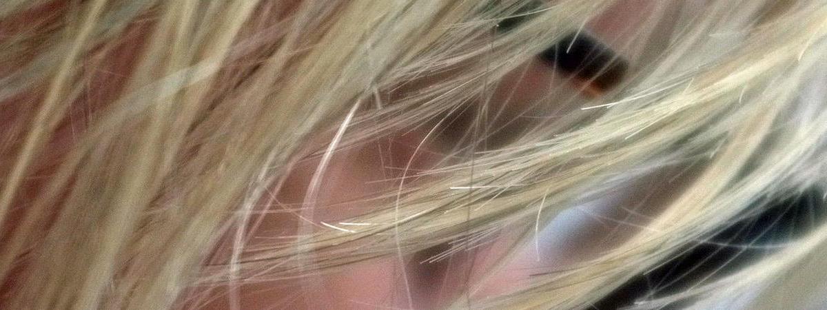 Portrait au féminin