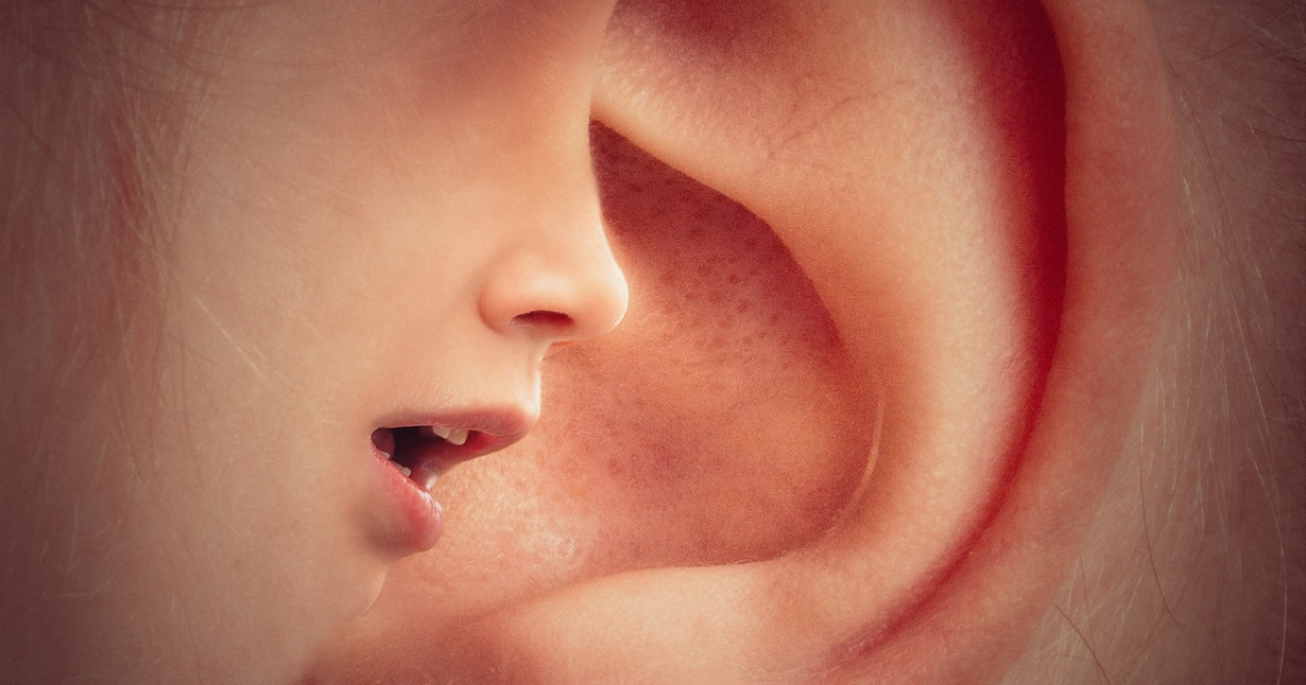 Oreilles