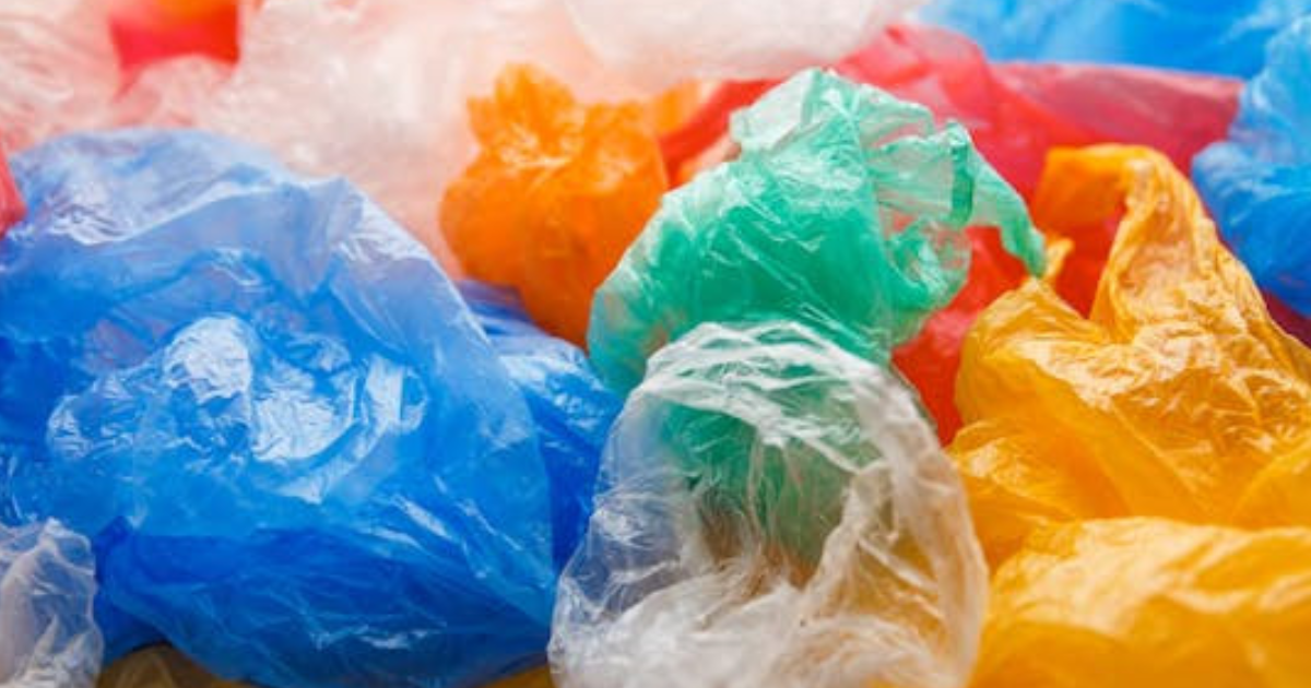 Trump and Assange, Garbage and Bullshit ...