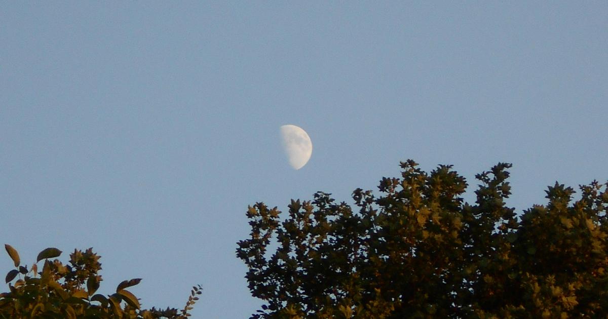 Cherche graines d'amour pour un monde plus beau