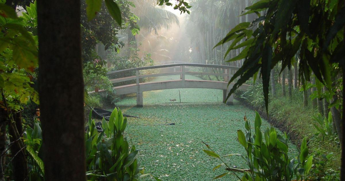 Des Clowns à Ushagram