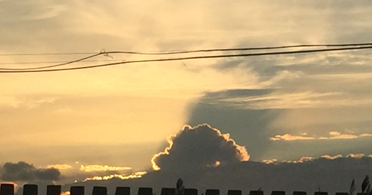 Relire Solal d’Albert Cohen. Une écriture prophétiqueLe peuple poète 