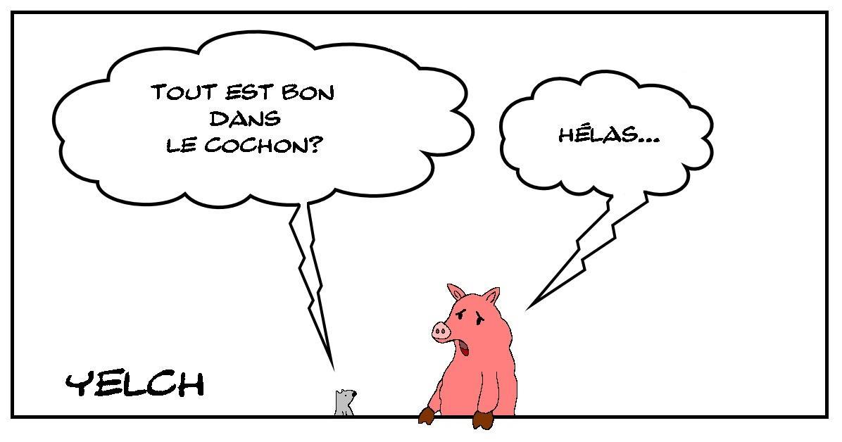 Tout est bon dans le cochon
