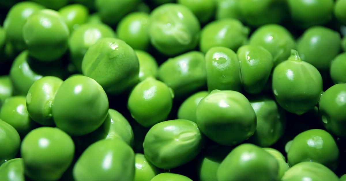 Mon heure de petit pois