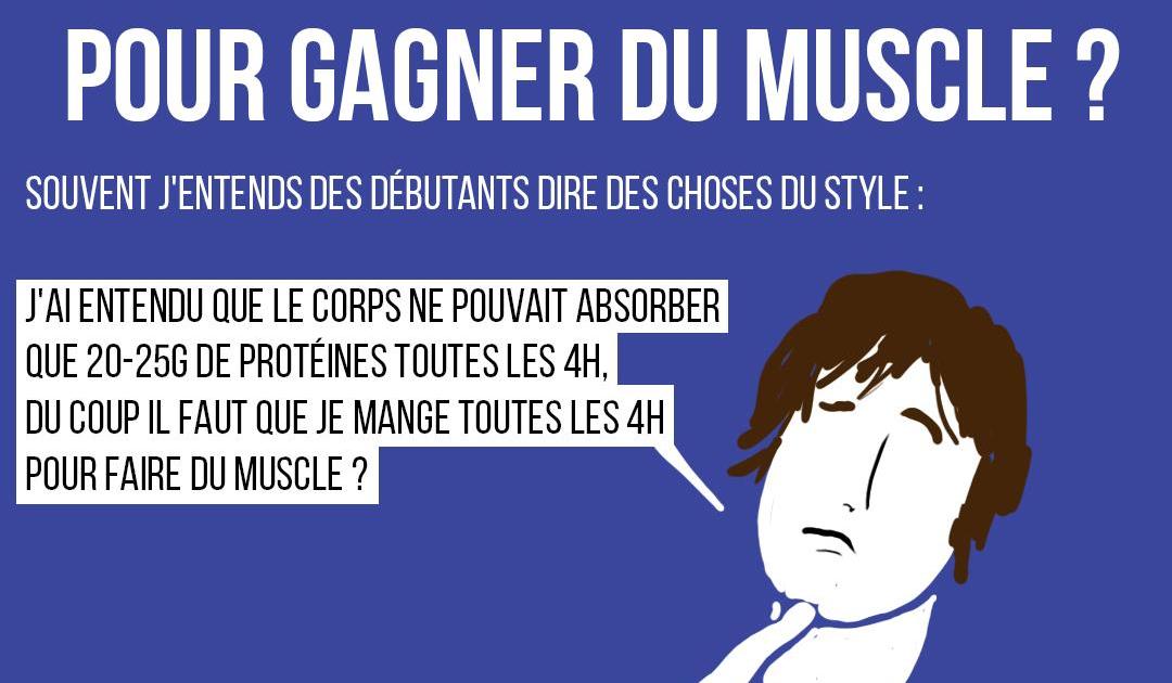 Quelle fréquence de repas par jour pour gagner du muscle ?