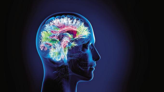 Savoir écouter, c'est posséder outre le sien, le cerveau des autres !