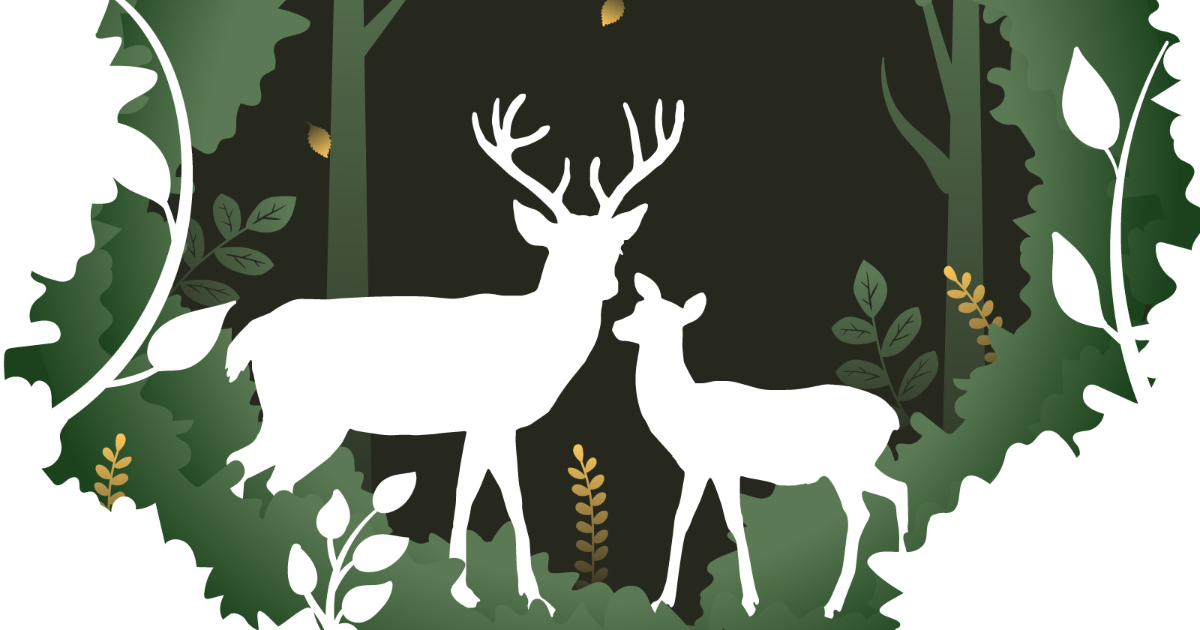 Az igazi szerelem plátói?