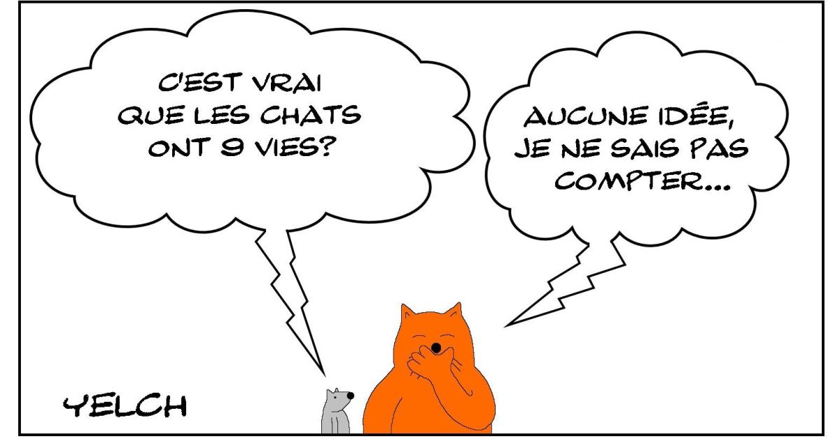 les 9 vies du chat?