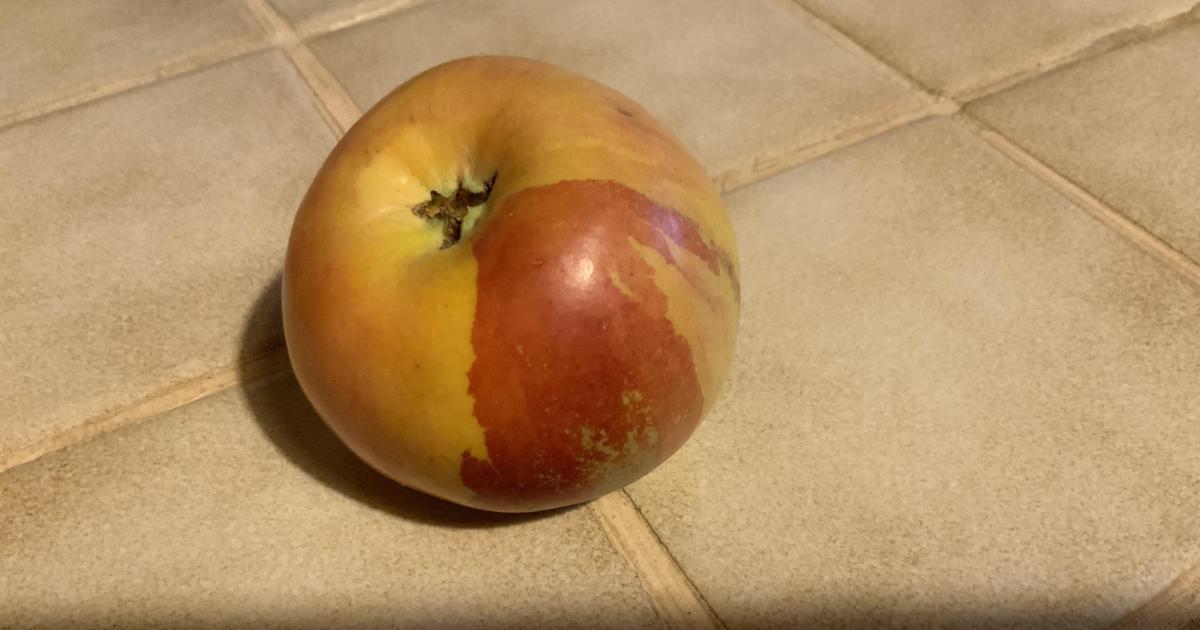 Une pomme créative