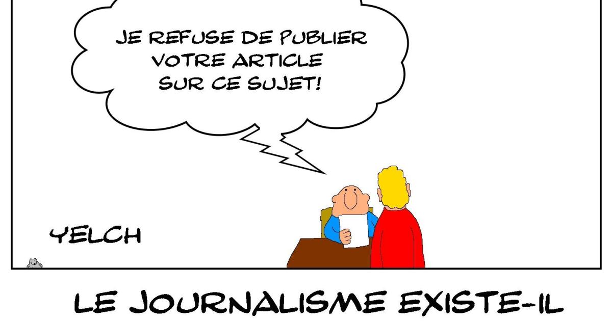 Y-a-t'il encore des journalistes en France?