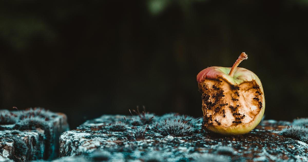 Trouve ta niche est un très mauvais conseil. Voici pourquoi.