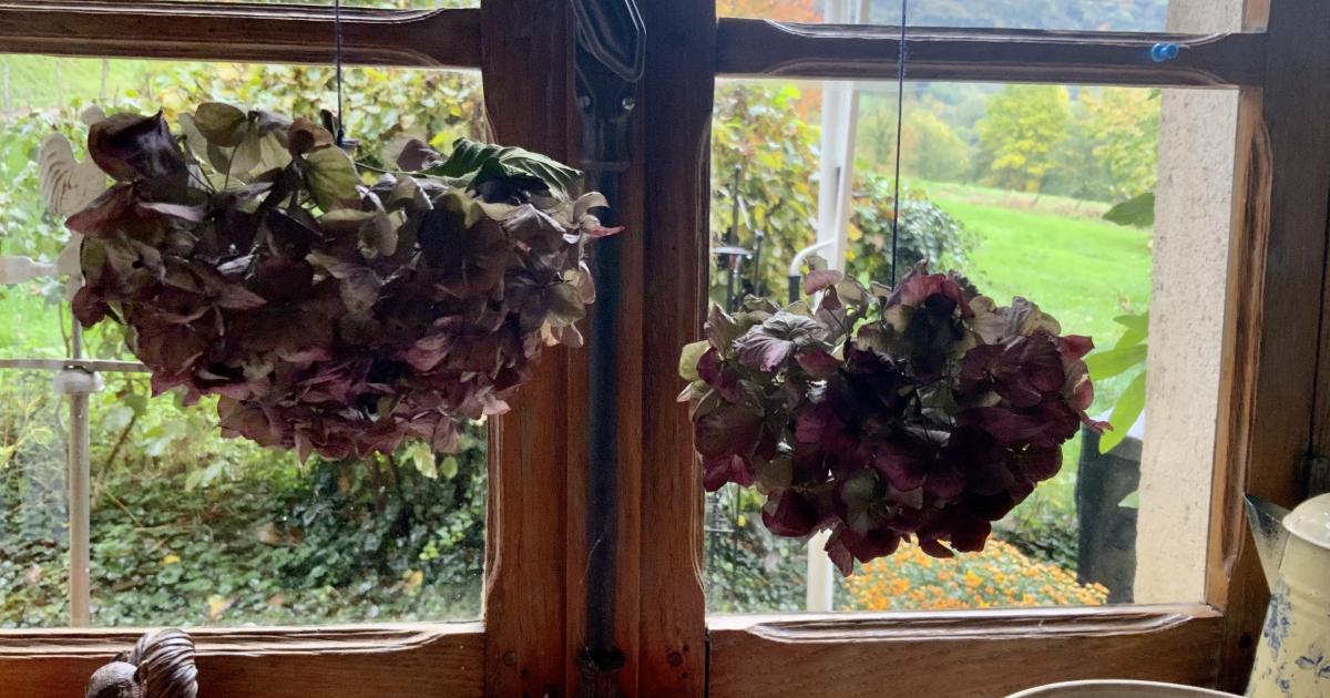 Le jardin mouillé du 23 Octobre