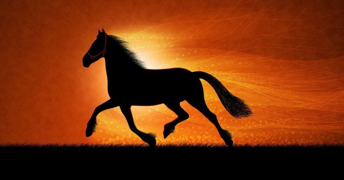 Le Cheval et l'Enfant