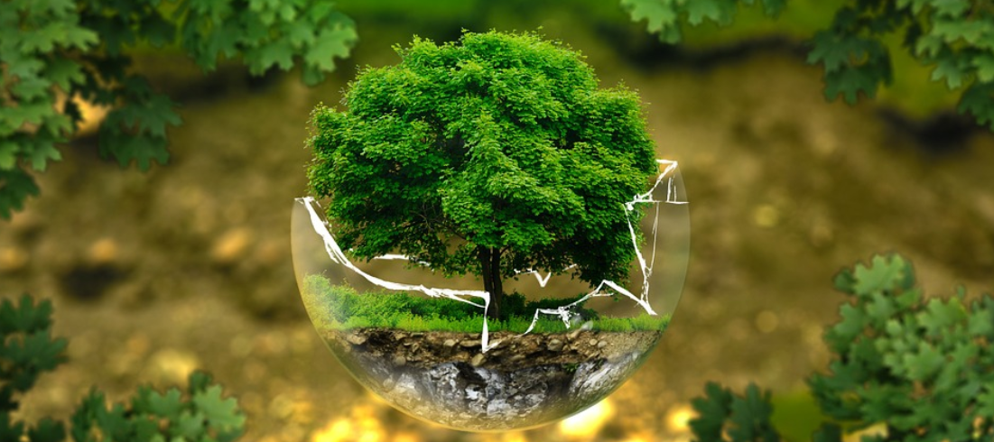 Comment la France réfléchit-elle ses politiques à long terme ?