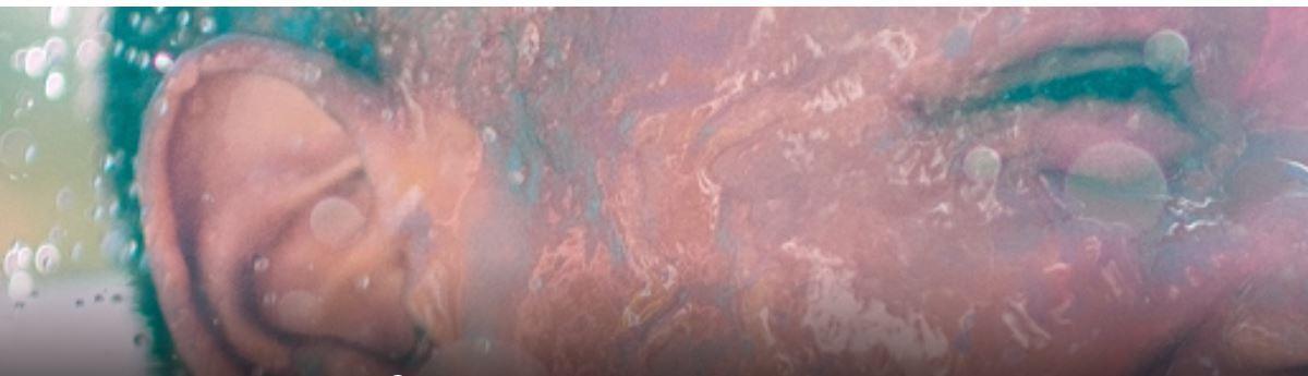 Chronique annoncée d’un agenda pour Moutons ou Licornes