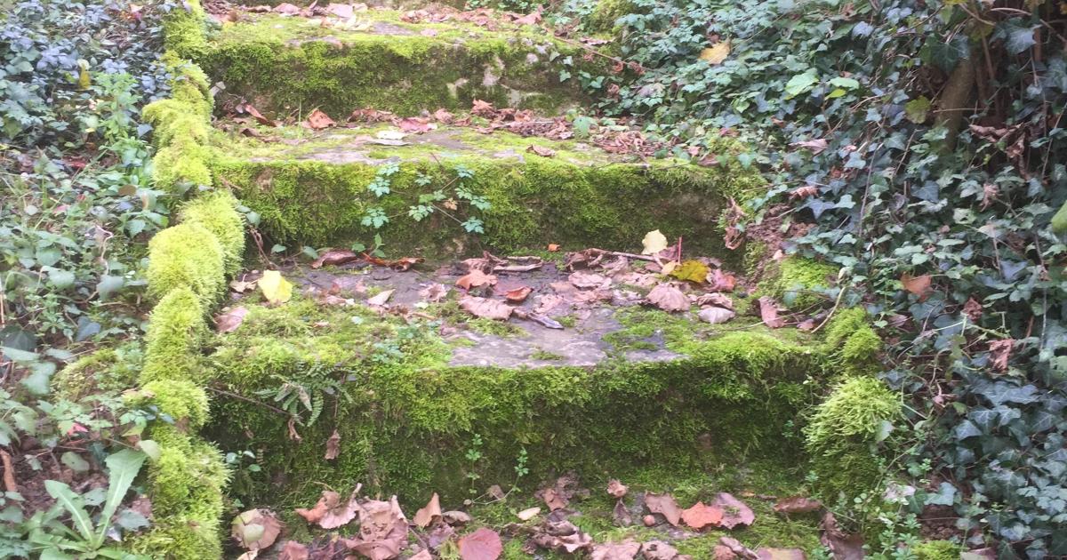 L’amour des trois oranges