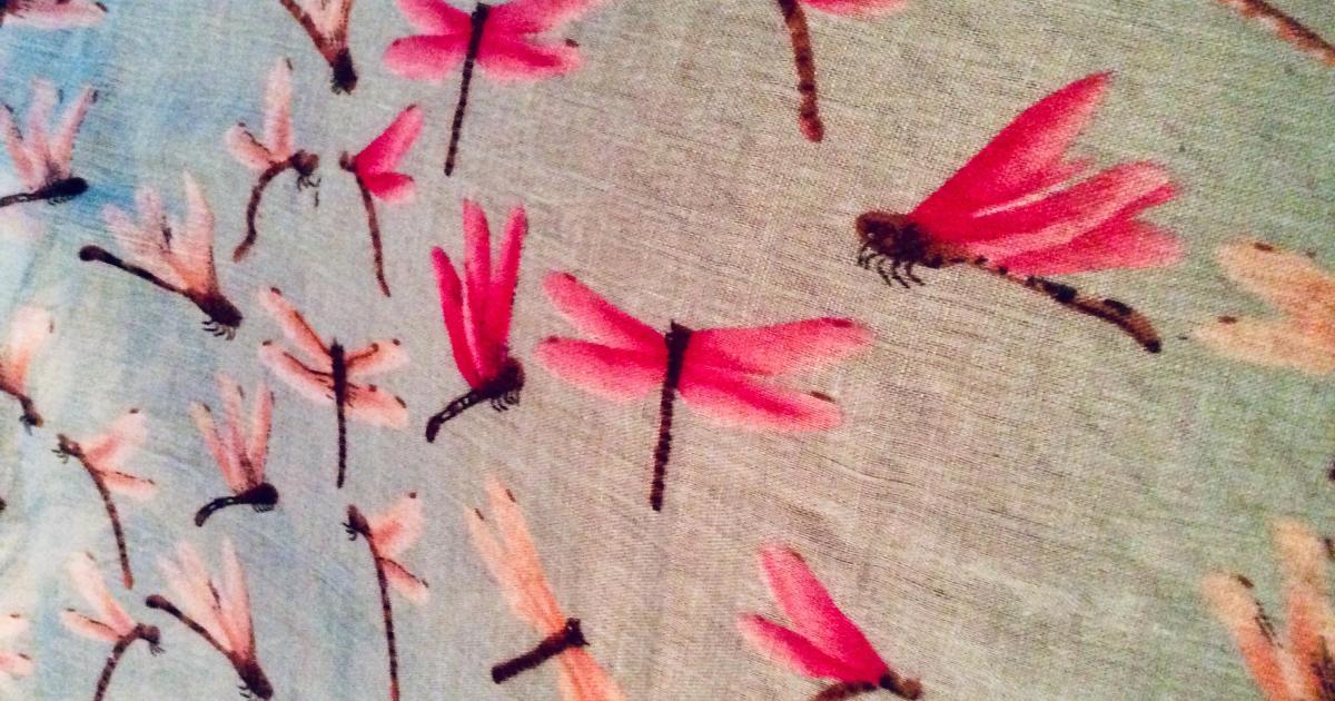 Le jardin du 11 Juillet