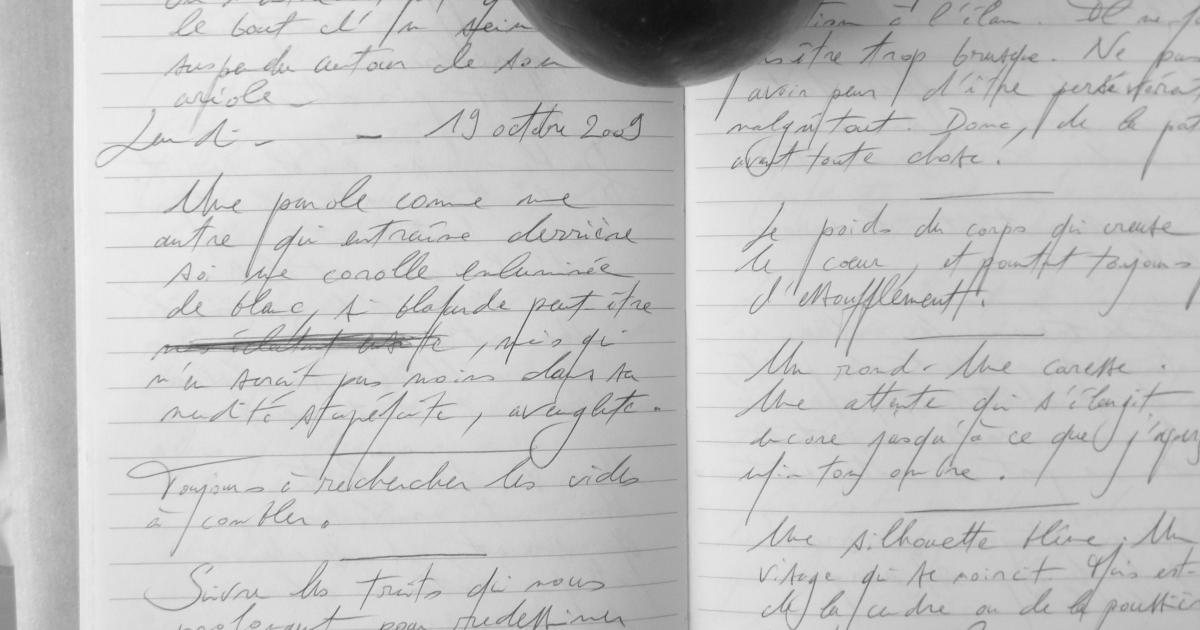 Petits papiers volants : journal d'écriture 2003-2018