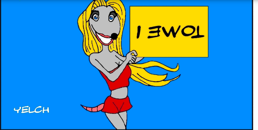 LES BLONDES VUES PAR LES RATS