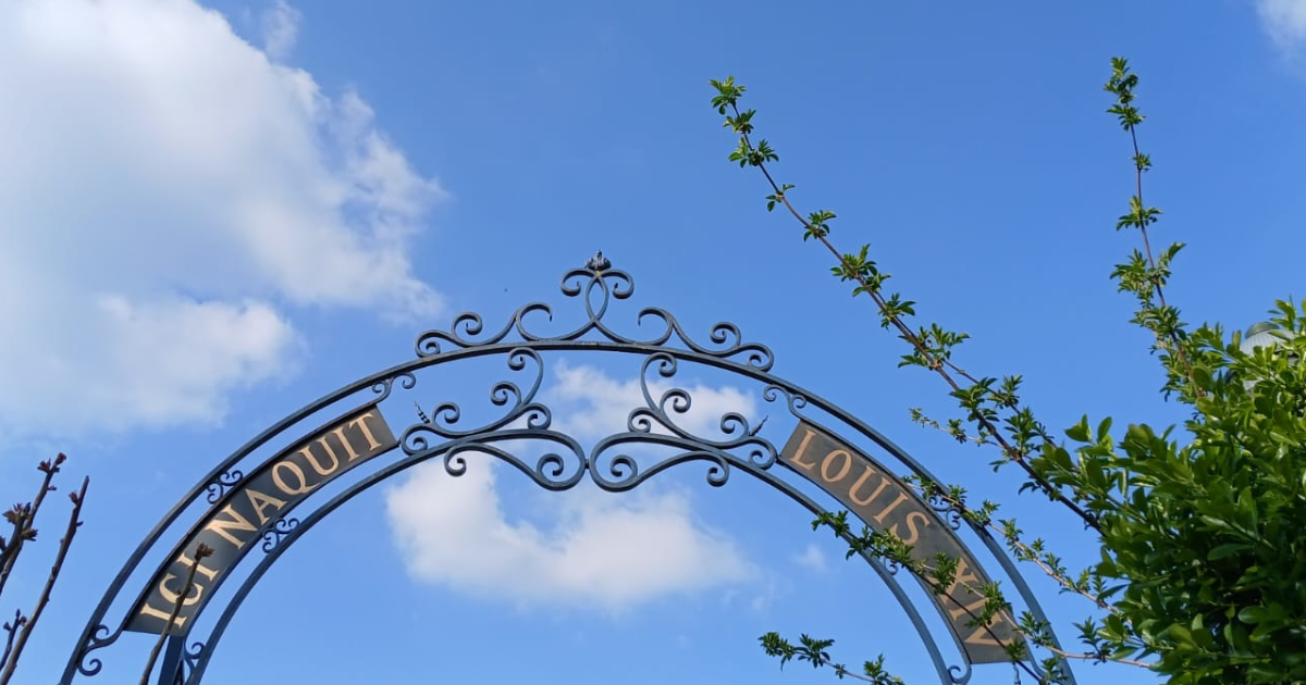 LA SALAMANDRE ET LE SEL CENTRAL