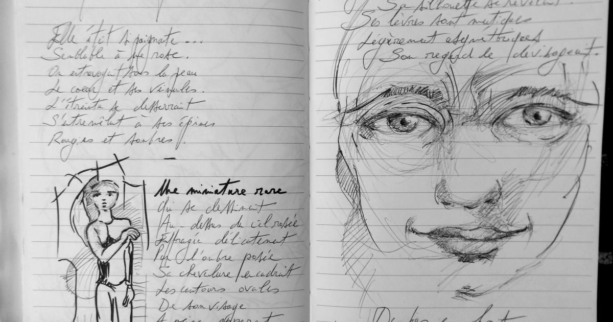 Petits Papiers Volants : Journal D'écriture 2003-2018 - mardi 13 et mercredi 14 février 2018