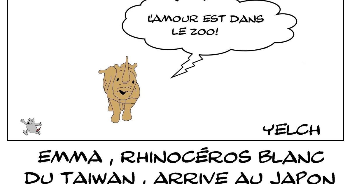 Une nouvelle émission pour Karine le marchand