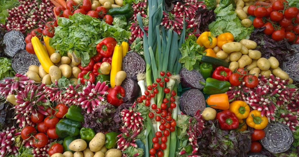 Les préjugés sur la nourriture sont "sans faim".