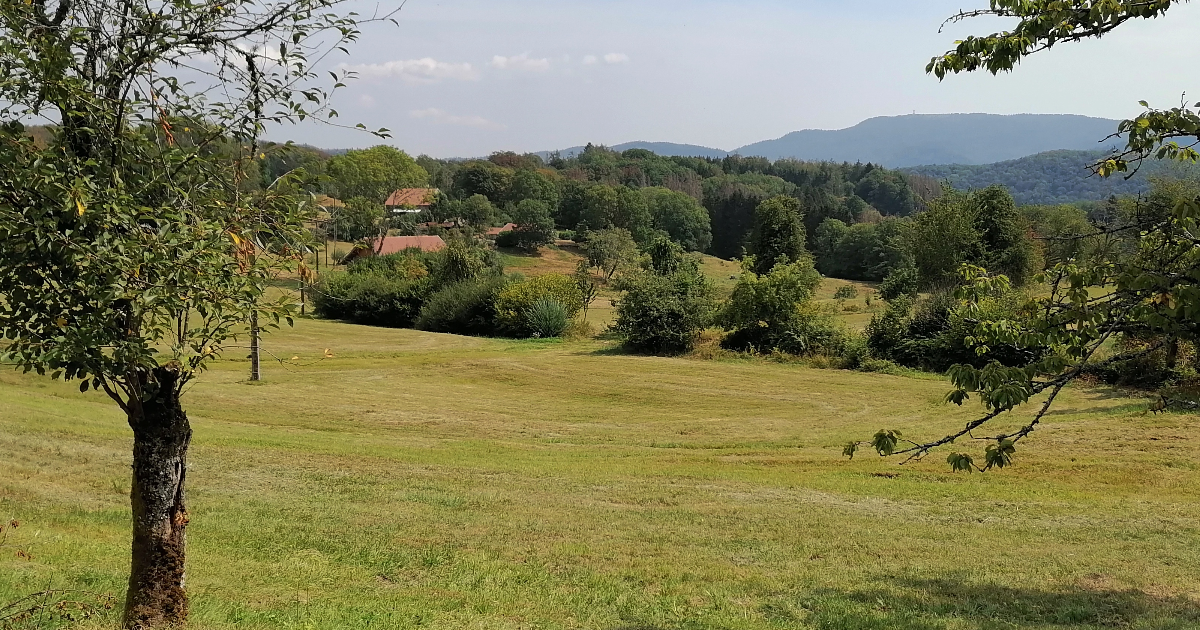 Exercice d'écriture 5 mots imposés (en caractère gras)