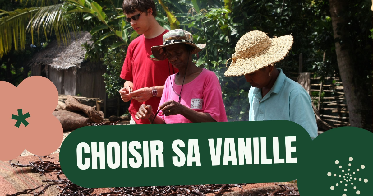Le Guide Ultime de la Vanille : De l'Orchidée à la Gousse, Tout Comprendre sur la vanille
