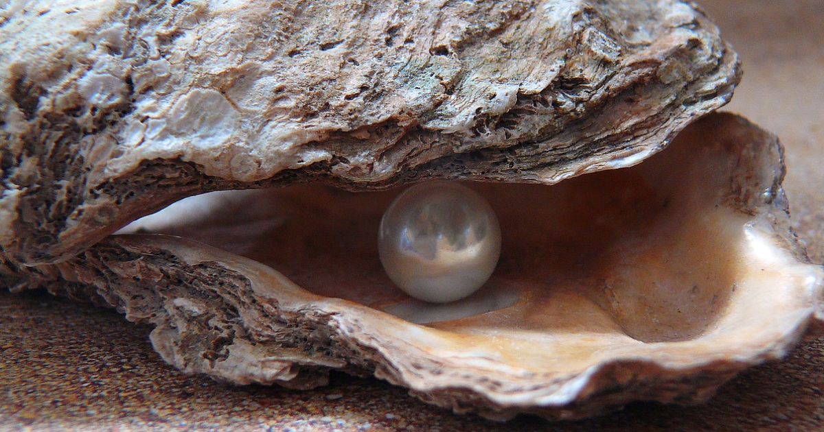 Perle