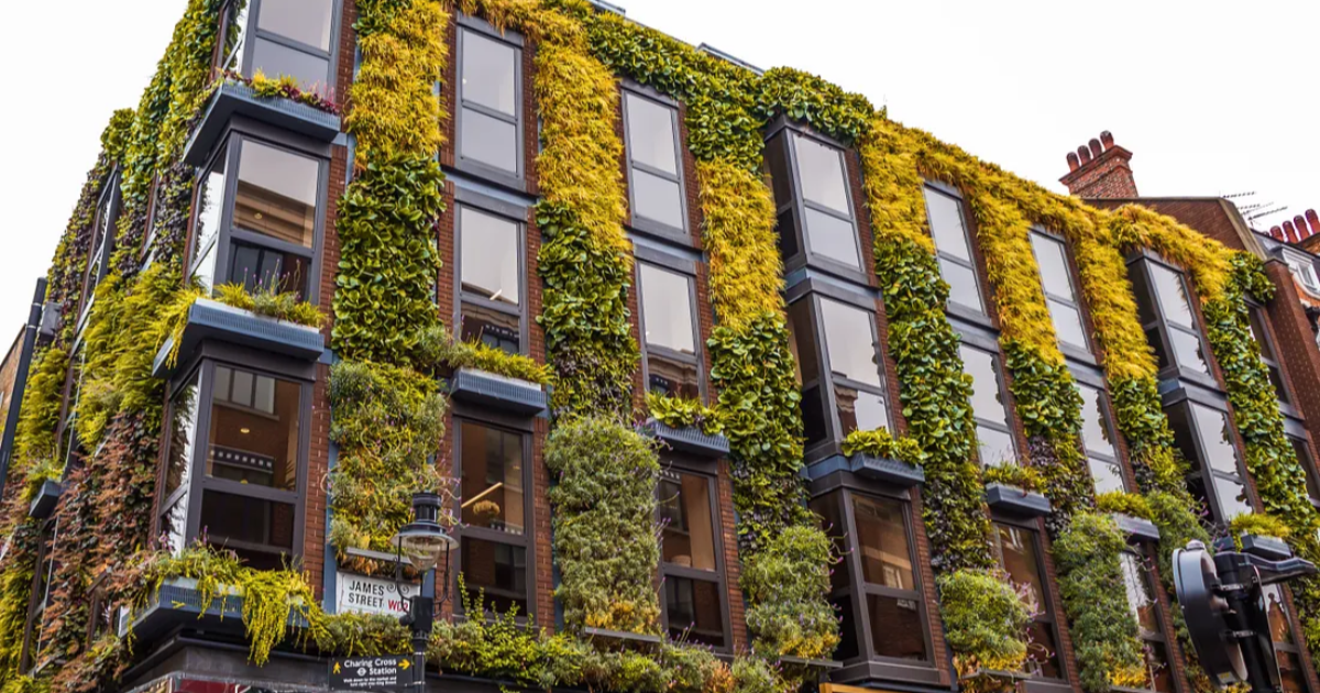 Embracing Greenery in Small Spaces