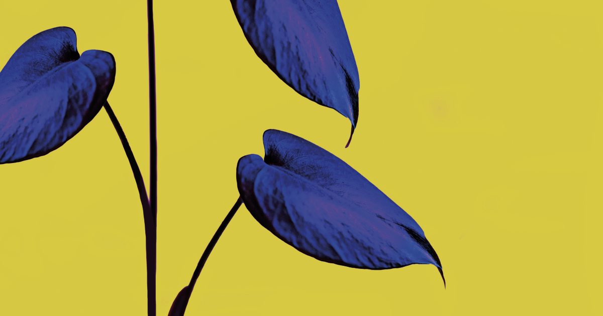 REGINE INSIDE Autodeterminarsi con Gentilezza