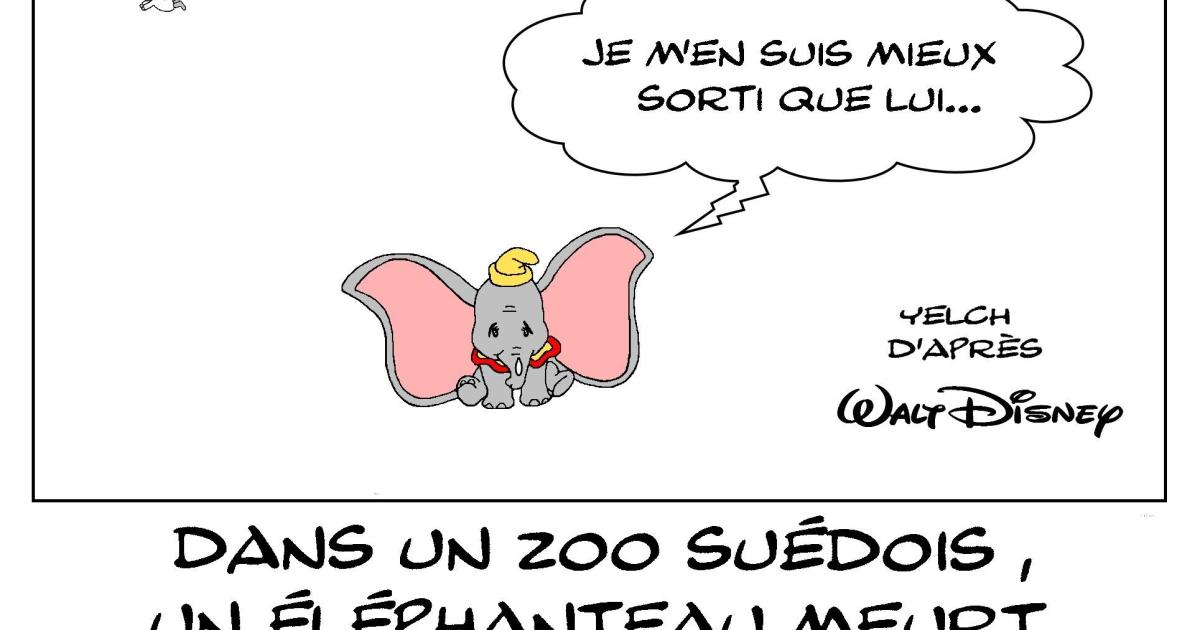 Dumbo a  finalement eu de la chance...