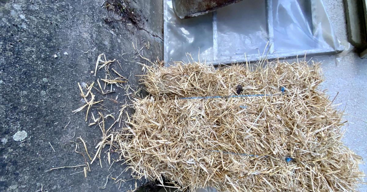 Le jardin du 27 Novembre