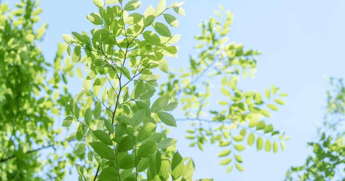 Episode 2 - Un si long chemin