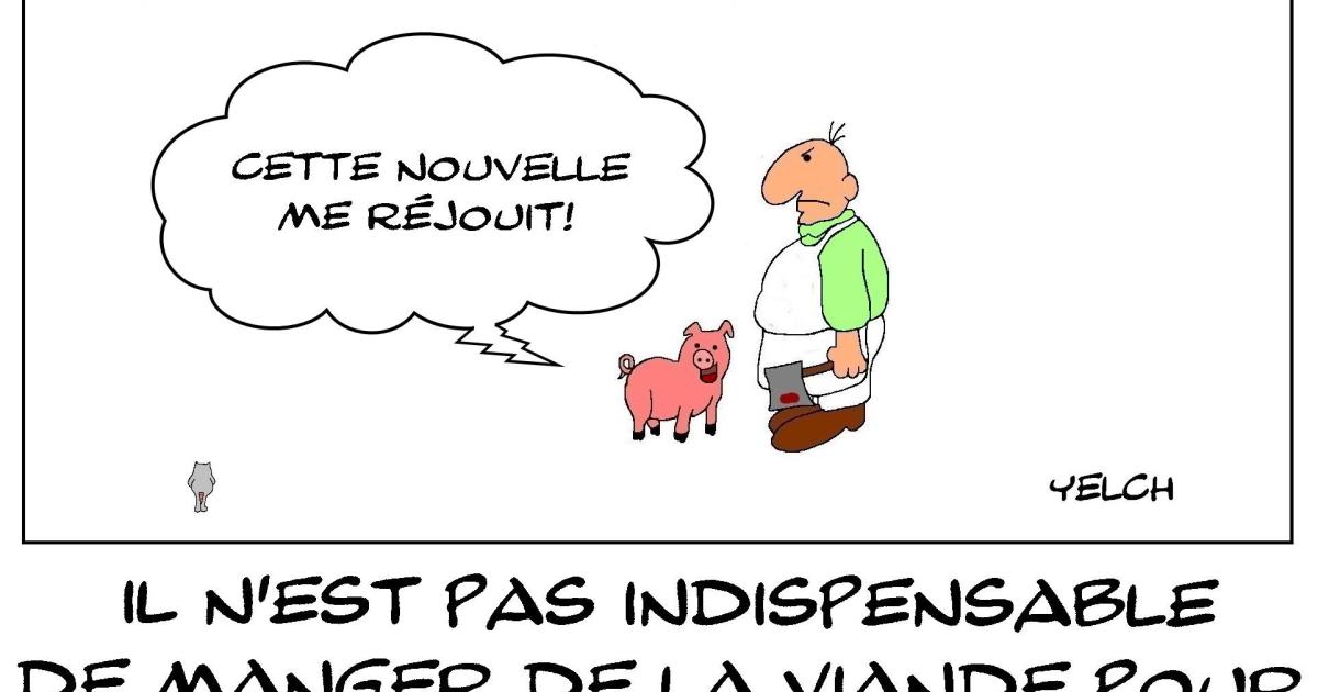 Il n'est pas indispensable de manger de la viande
