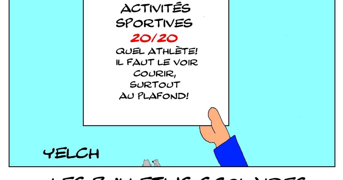 les bulletins scolaires de Spiderman : activités sportives
