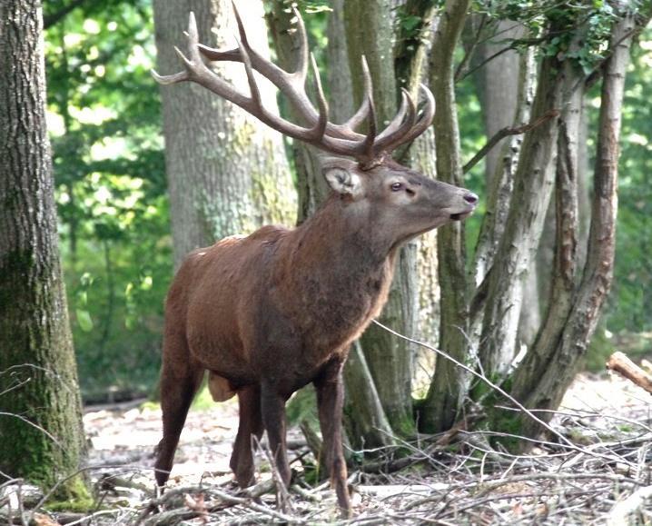 Un instant d'éternité
