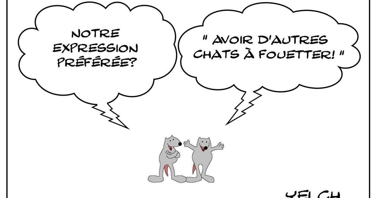 Les rats qui aimaient fouetter les chats