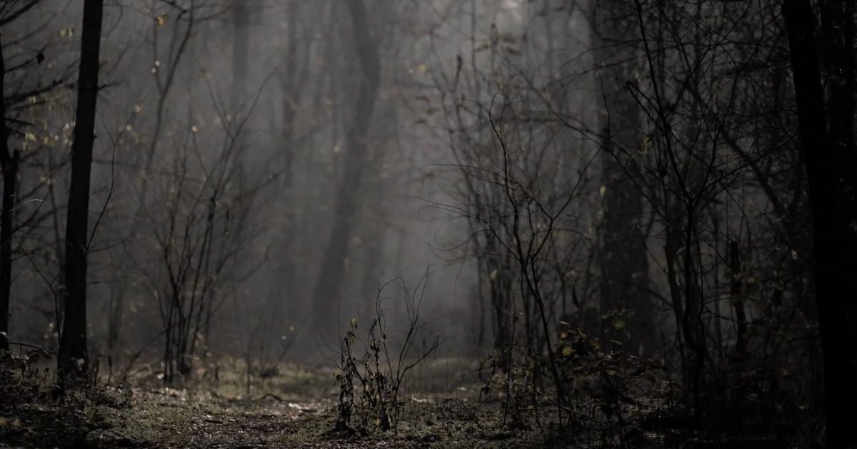 Les Retrouvailles écrit le 5/06/2022