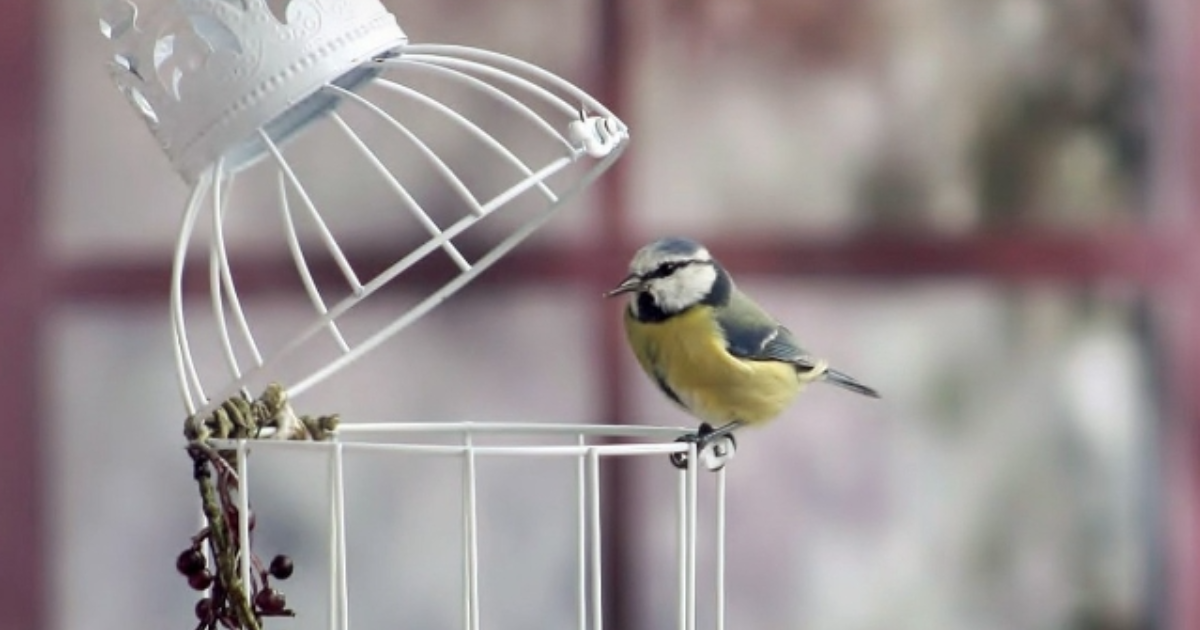 Un instant de liberté