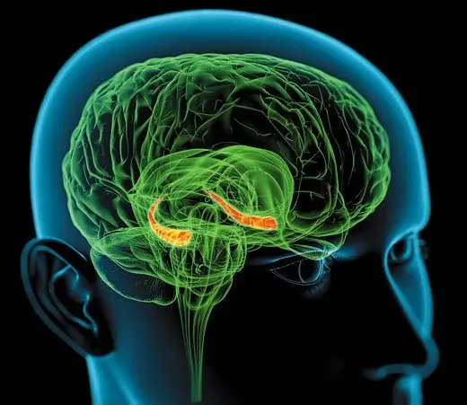 L'inverse du rire ce n'est pas le sérieux, c'est la soumission !