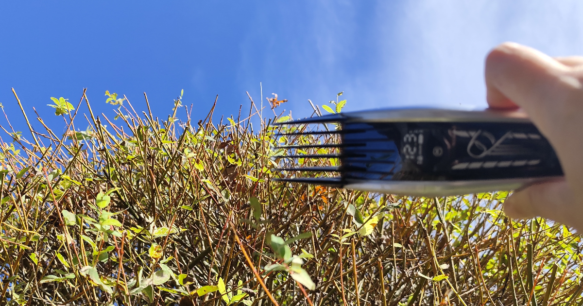 J'ai acheté une tondeuse