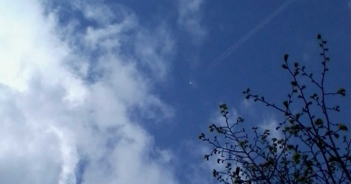 Symbolique du papillon (1) : Envol