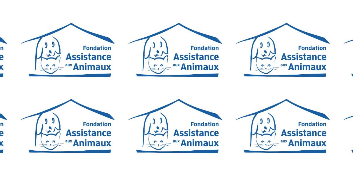 Ils n'attendent que vous ! Fondation assistance aux animaux