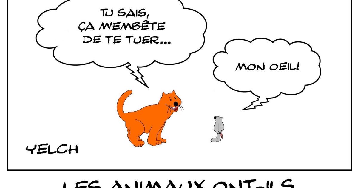 Les animaux ont-ils un sens moral?