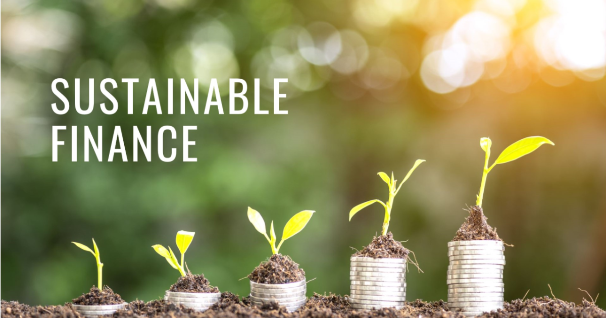 Sustainable Finance Lessons and Best Practices