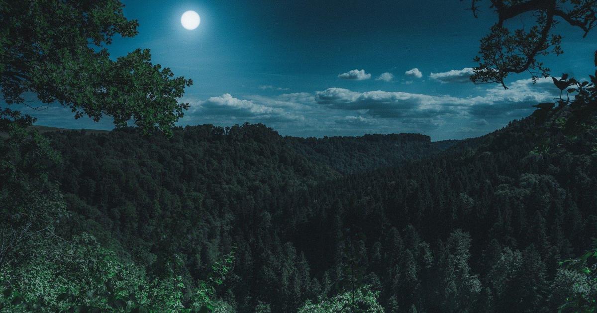 Une nuit paisible