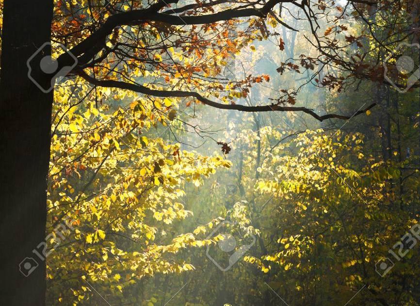 Grandir sans l'amour d'un père