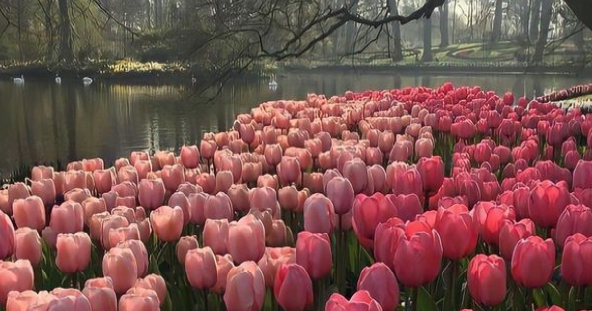 𝘌𝘵 𝘴𝘪 𝘰𝘯 𝘴𝘦 𝘵𝘳𝘰𝘮𝘱𝘢𝘪𝘵 𝘴𝘶𝘳 𝘭𝘦 𝘴𝘦𝘯𝘴 𝘥𝘦 𝘭𝘢 𝘷𝘪𝘦 ?